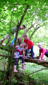 Kinder im Baum2