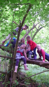 Wildnisschule-Kindergruppe