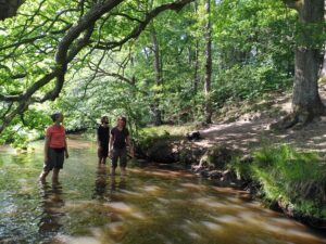 Fluss baden Wildnis