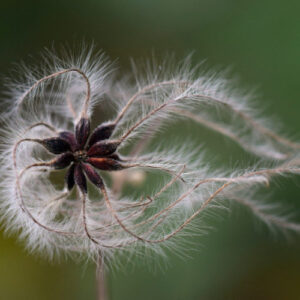 Mentoring und Coaching in der Natur - Wildnisschule WIldeshausen