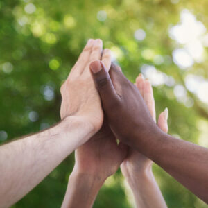 Teamtraining für Unternehmen in der Wildnisschule WIldeshausen